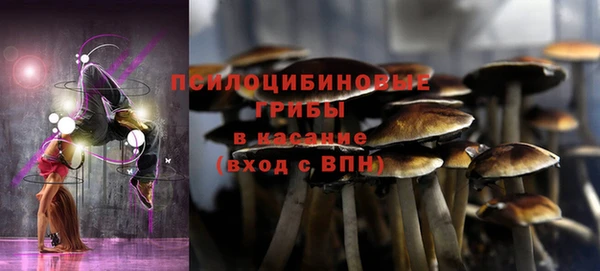 стафф Волосово