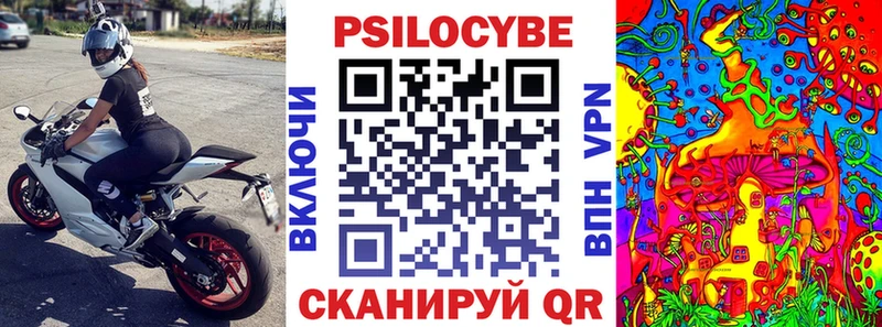 блэк спрут как войти  наркотики  Кинель  Псилоцибиновые грибы GOLDEN TEACHER 